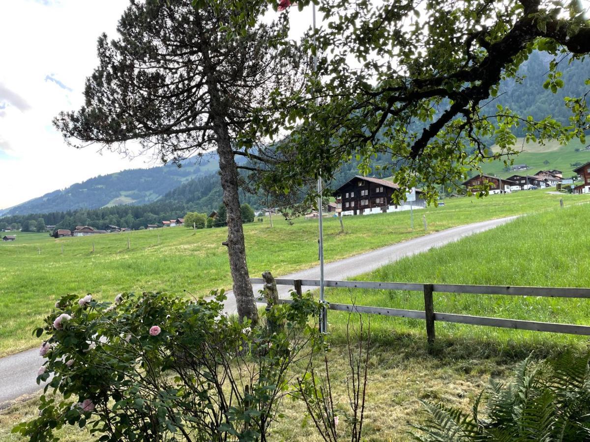Edelweiss 4 Zi Ferienwohnung In Landhaus Frutigen Exteriör bild